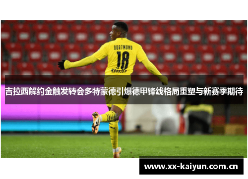 吉拉西解约金触发转会多特蒙德引爆德甲锋线格局重塑与新赛季期待 吉拉西解约金触发转会多特蒙德引爆德甲锋线格局重塑与新赛季期待